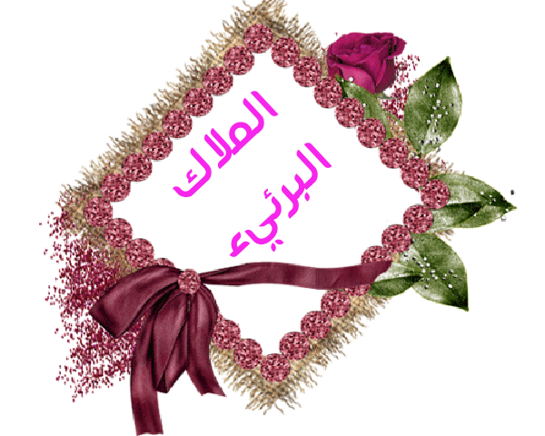 💜 bntpal.com_145233178