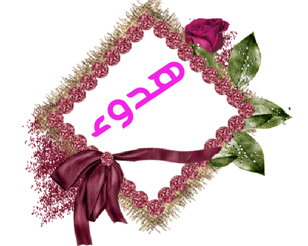 💜 bntpal.com_145233178
