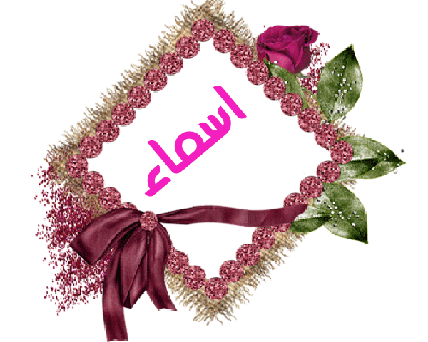 💜 bntpal.com_145233178