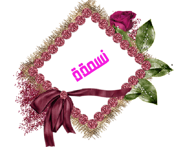 💜 bntpal.com_145233178