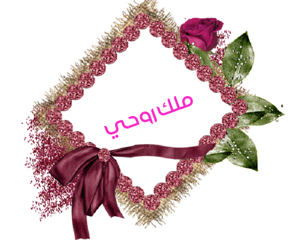 💜 bntpal.com_145233178