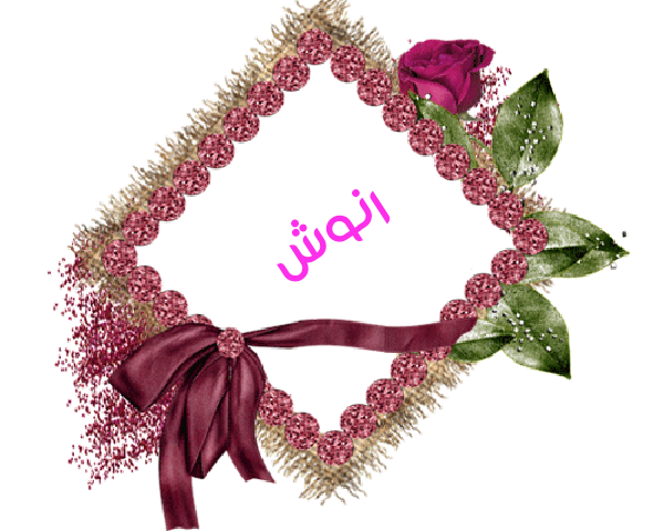 💜 bntpal.com_145233178