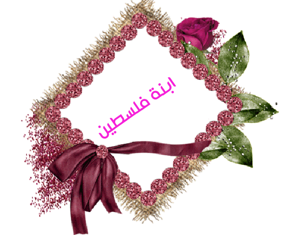 💜 bntpal.com_145233178