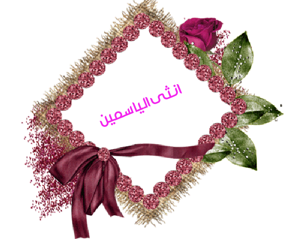 💜 bntpal.com_145233178