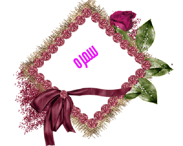 💜 bntpal.com_145233192