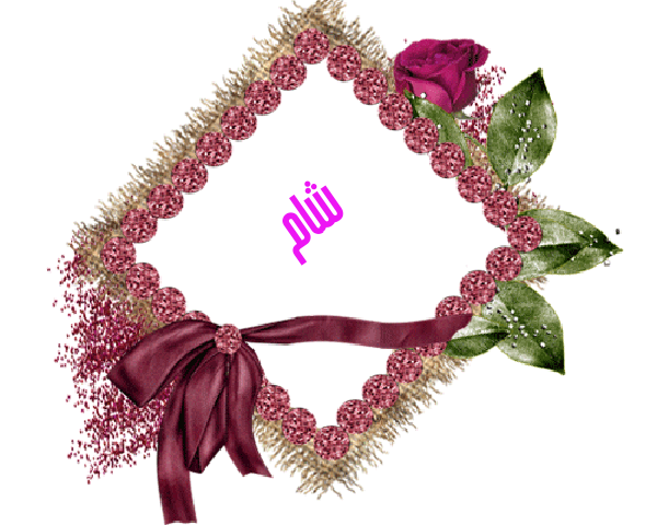 💜 bntpal.com_145233192