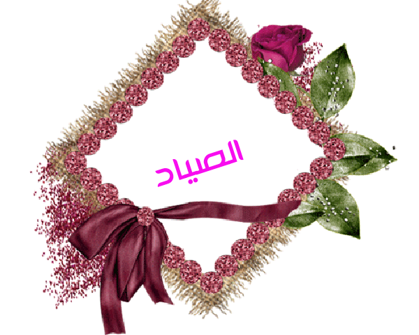 💜 bntpal.com_145233192