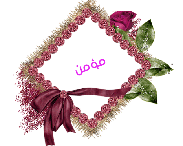 💜 bntpal.com_145233192
