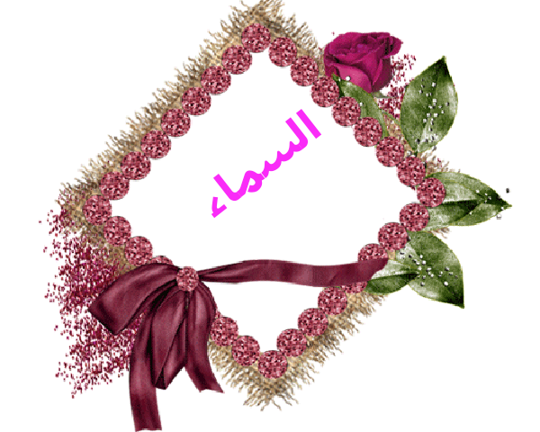 💜 bntpal.com_145233192