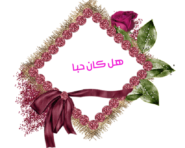 💜 bntpal.com_145233192