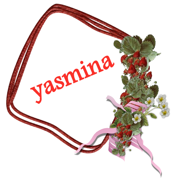 bntpal.com_145236682