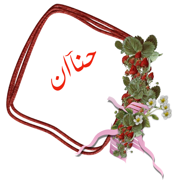 bntpal.com_145236682
