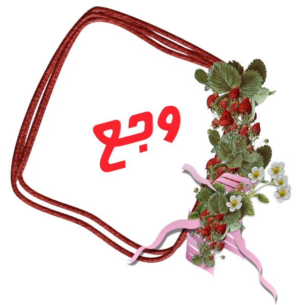 bntpal.com_145236682