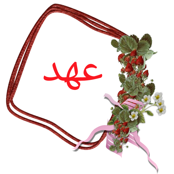 bntpal.com_145236682