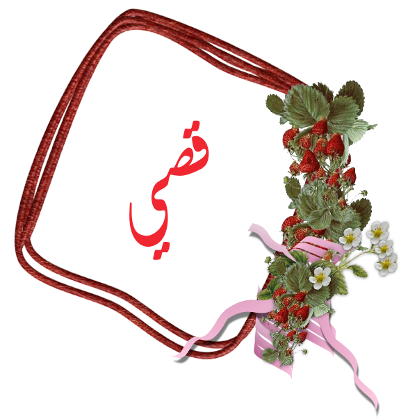 bntpal.com_145236682