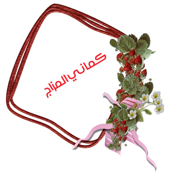 bntpal.com_145236682