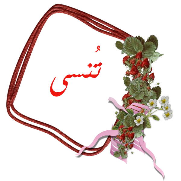 bntpal.com_145236682