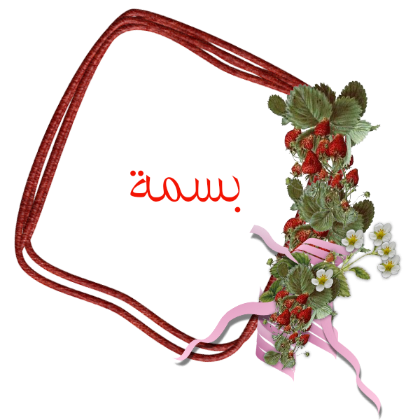 bntpal.com_145236682