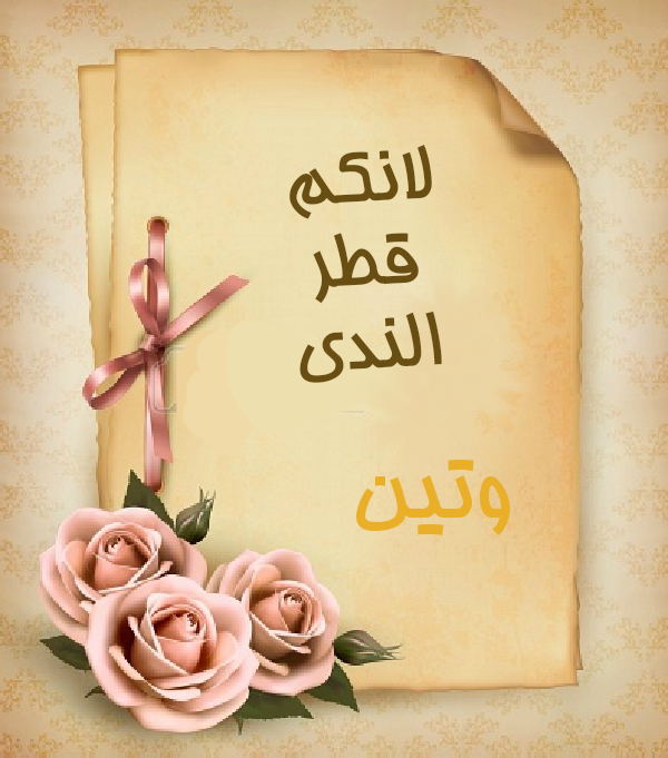 bntpal.com_145236682