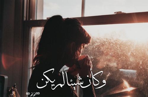 bntpal.com_145244765
