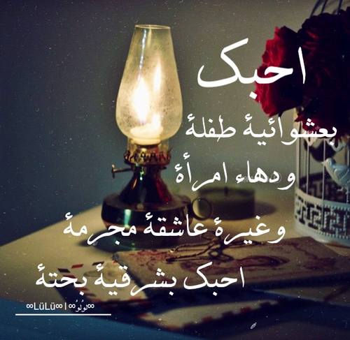 bntpal.com_145244765
