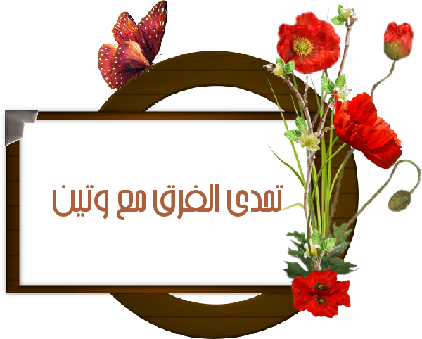 bntpal.com_145245878