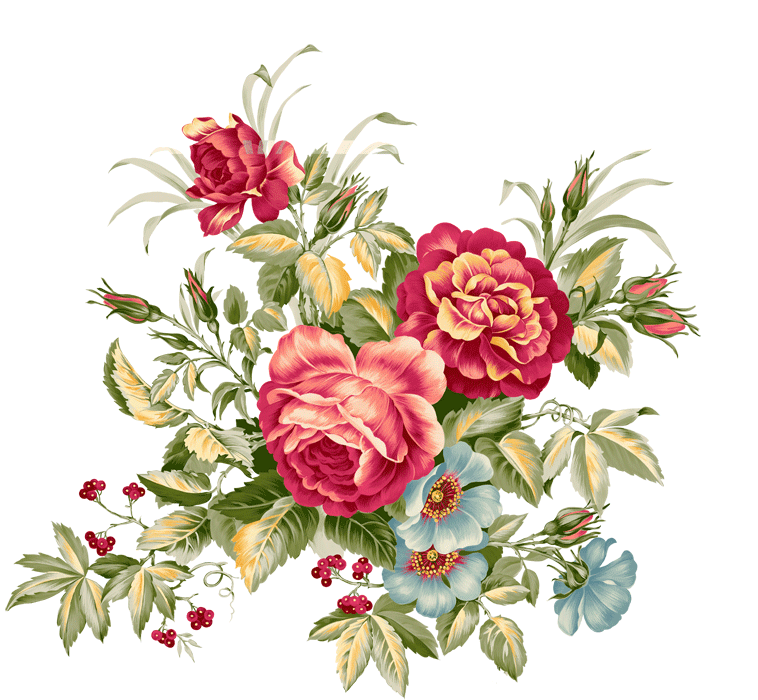 bntpal.com_145246533