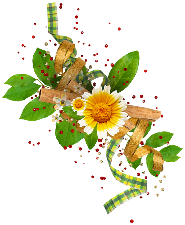 bntpal.com_145246533