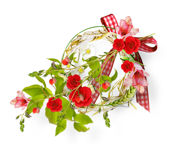bntpal.com_145246565