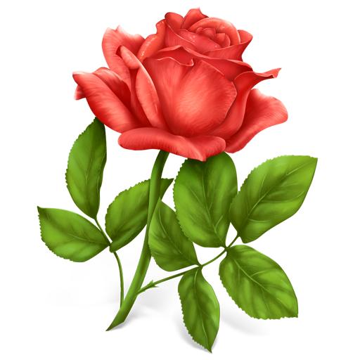 bntpal.com_145246565