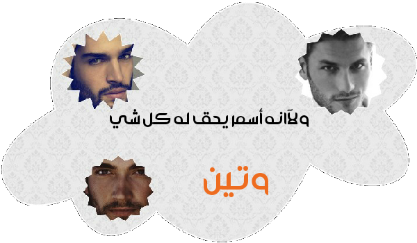  bntpal.com_145252023