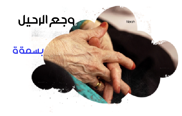 bntpal.com_145261569