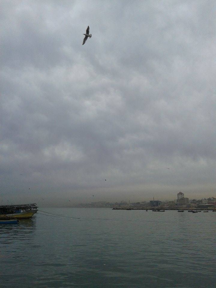 bntpal.com_145292970