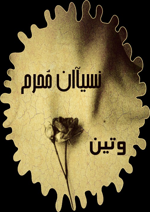 bntpal.com_145294053