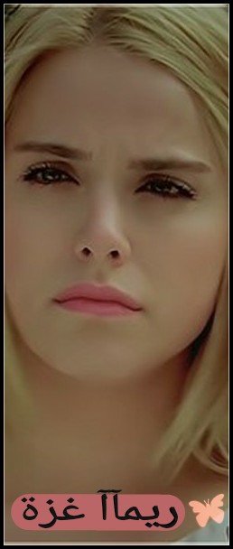 bntpal.com_145296161