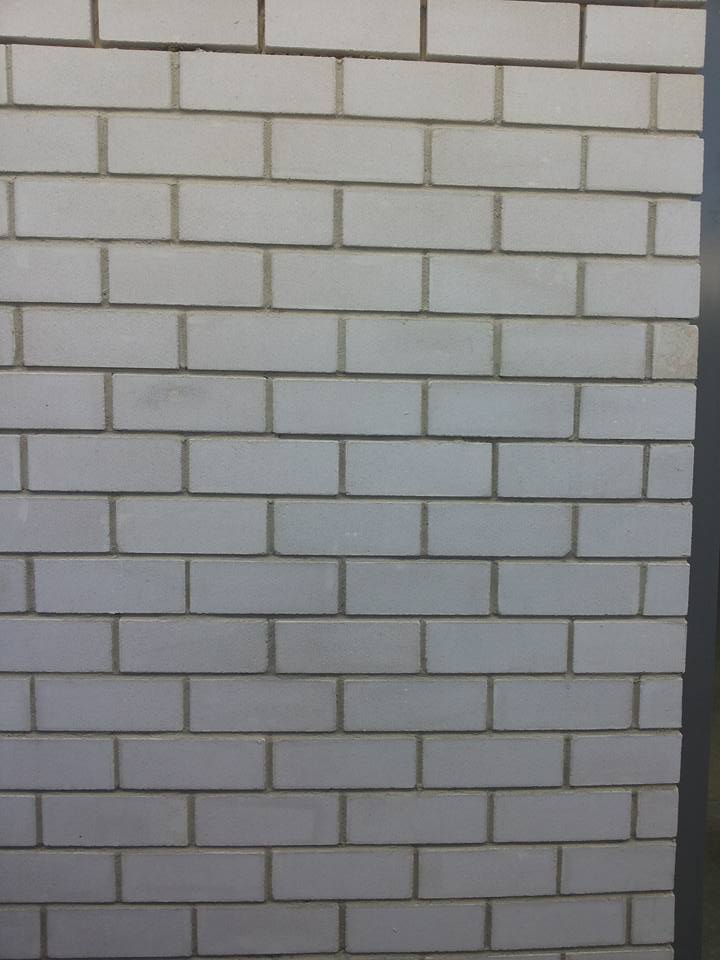 bntpal.com_145305071