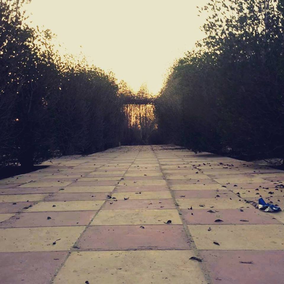 bntpal.com_145310652