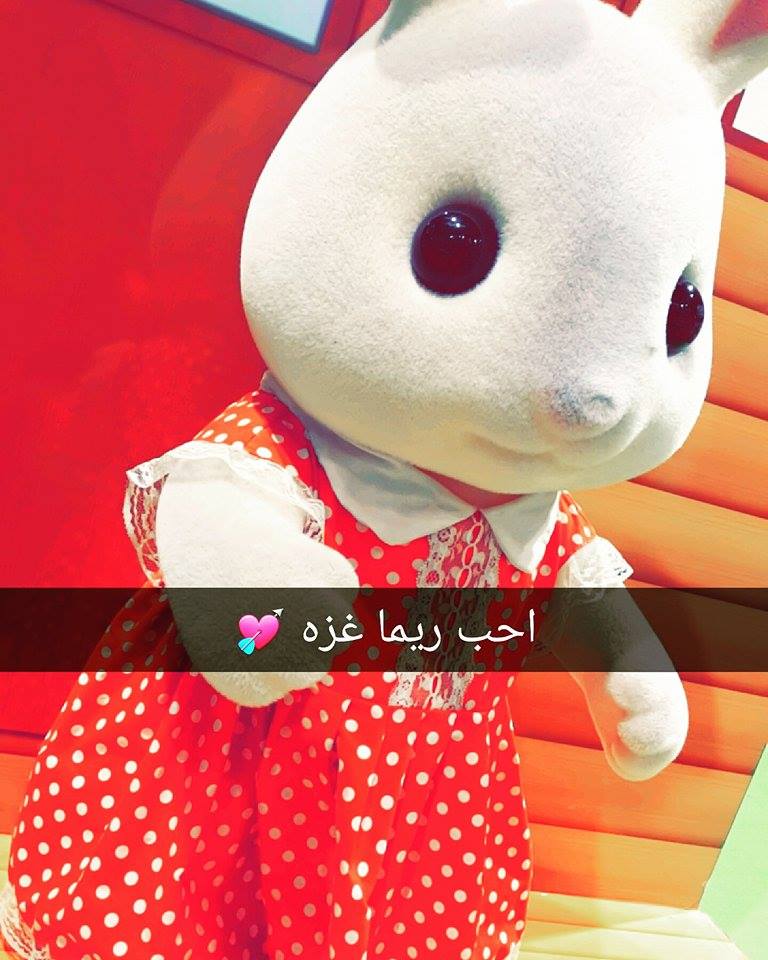.. bntpal.com_145327846