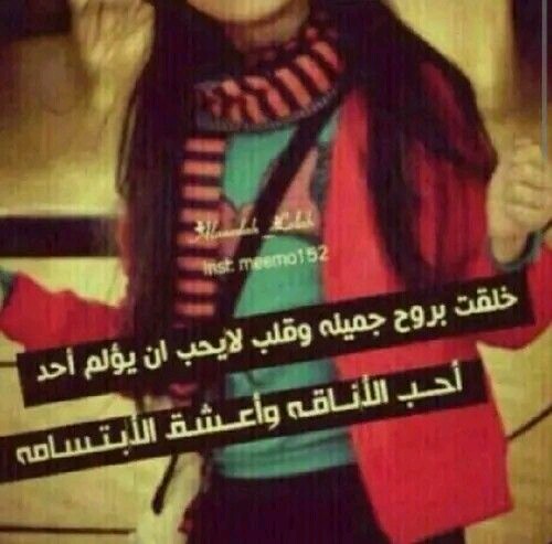    bntpal.com_145355377