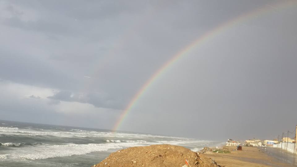  bntpal.com_145374606