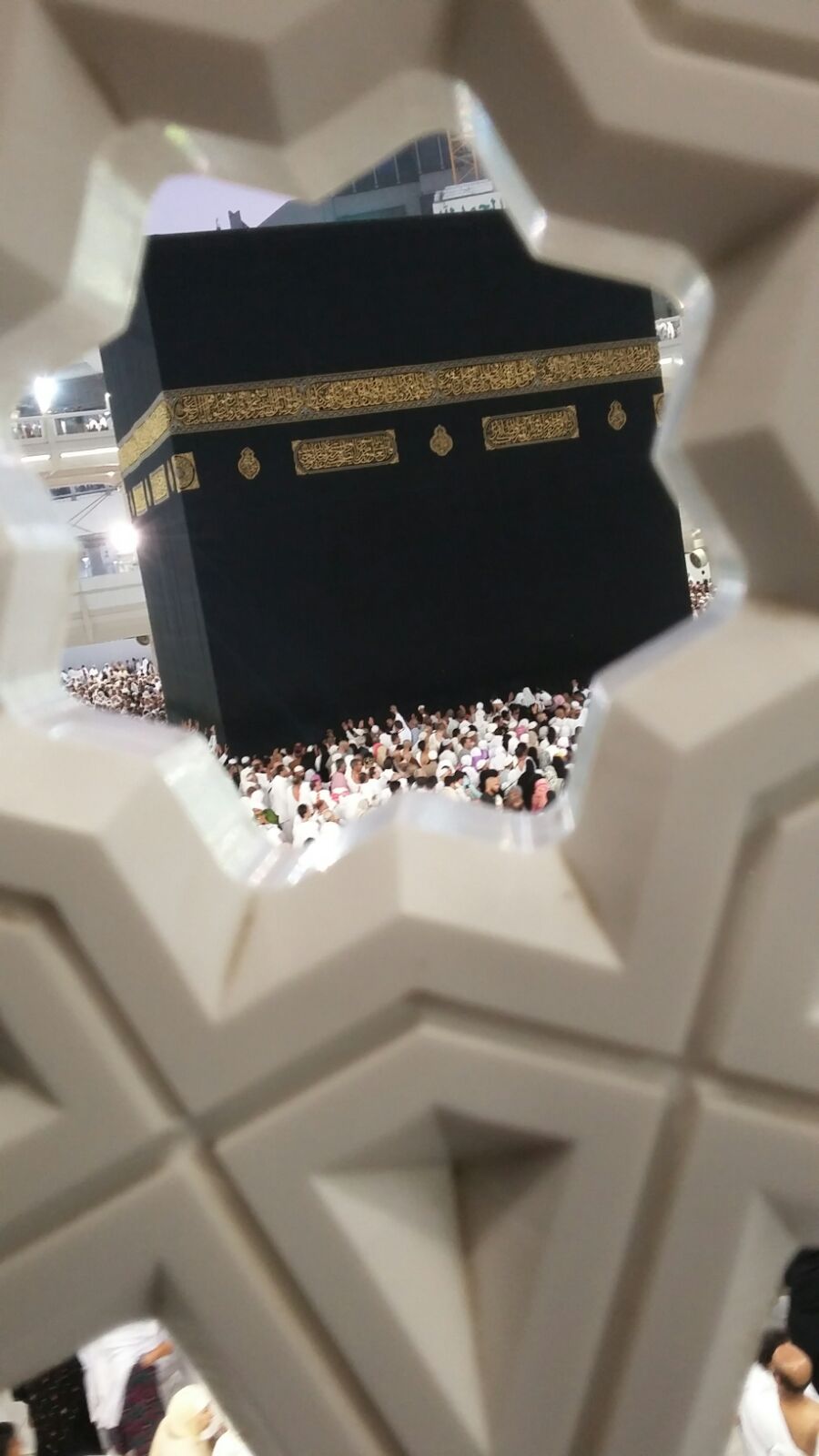  bntpal.com_145375692