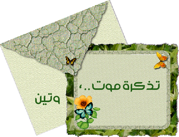 bntpal.com_145399737