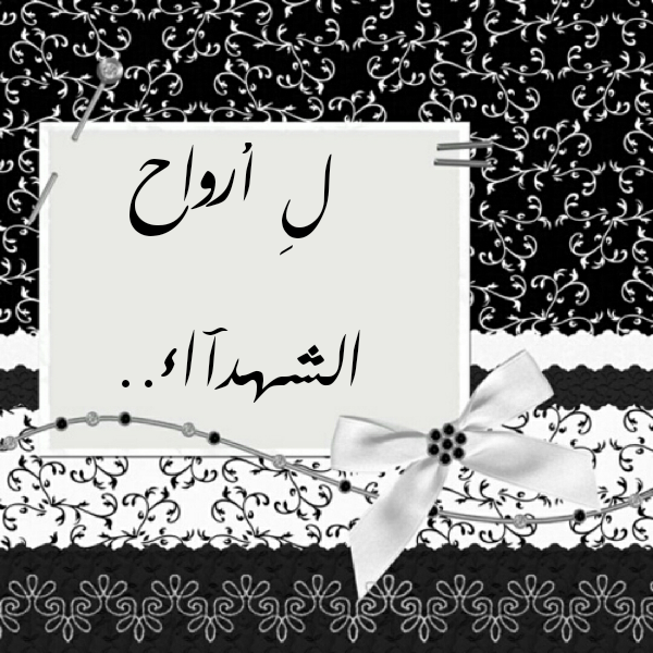  bntpal.com_145406898