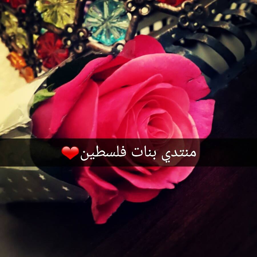  bntpal.com_145407698