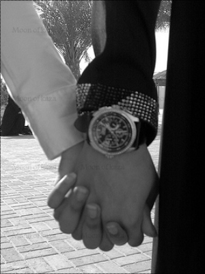 ♥ bntpal.com_145408758