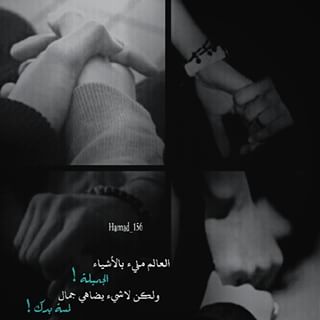 ♥ bntpal.com_145408758