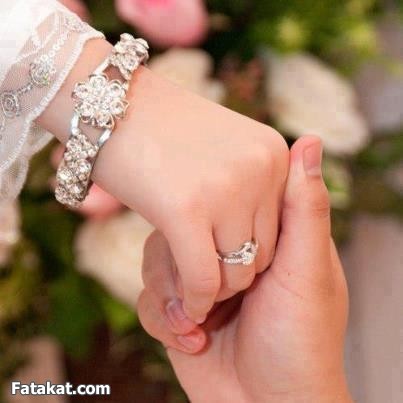 ♥ bntpal.com_145408758