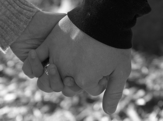 ♥ bntpal.com_145408796