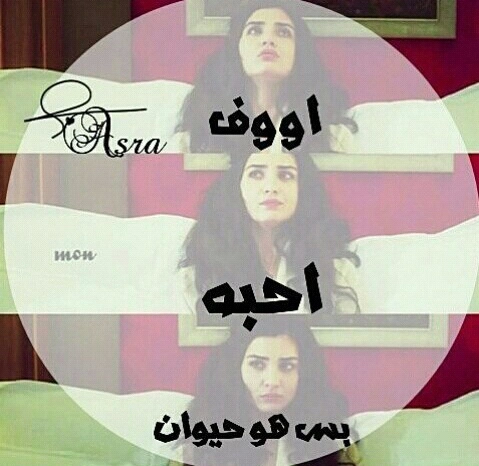 ♥ bntpal.com_145425759
