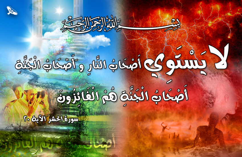 ( bntpal.com_145432338